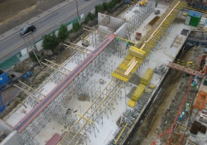 neocitta-2